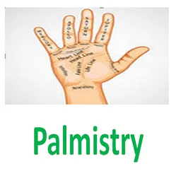 Palmistry screenshot 1