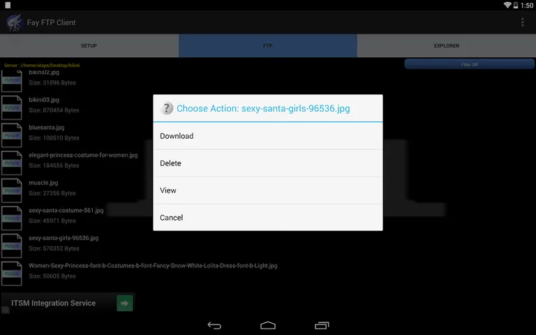 Fay FTP Client screenshot 14