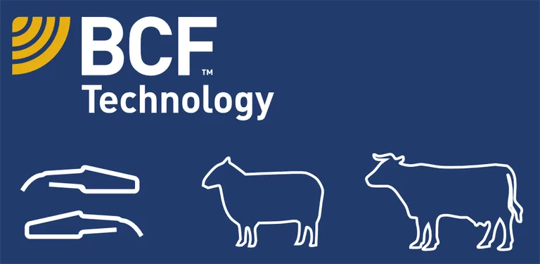 IMV Go Scan cover image