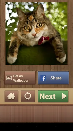 Cat Jigsaw Puzzles screenshot 7