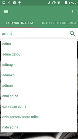 Labayru Hiztegia screenshot 2