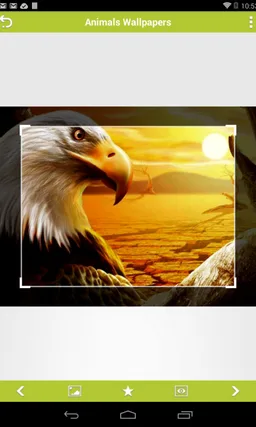 Animals Wallpapers screenshot 3