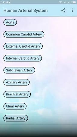 Human Arterial System screenshot 1