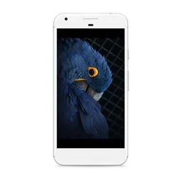 Birds Wallpapers screenshot 3