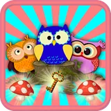 Crazy Owls icon