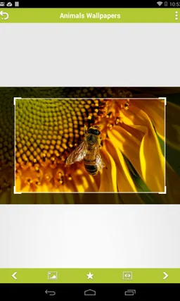 Animals Wallpapers screenshot 6