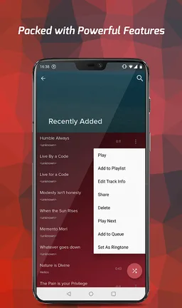 Pi Music Player screenshot 9