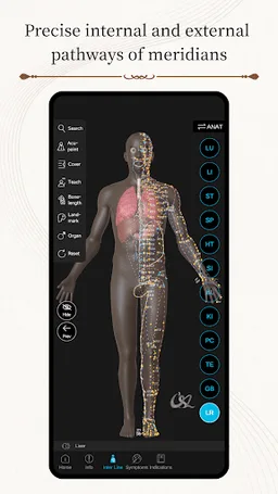 Acupuncture Master screenshot 2