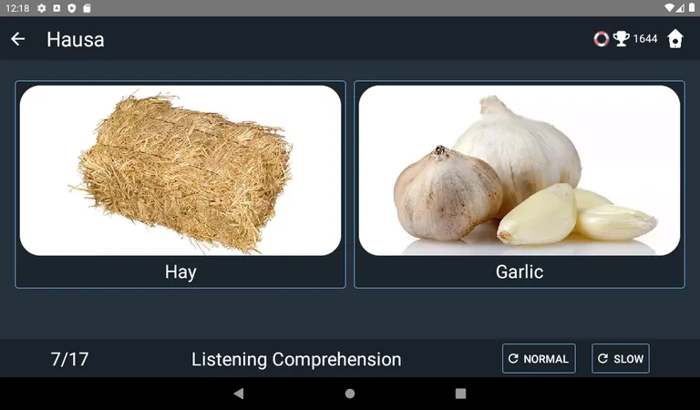 Hausa Language Tests screenshot 3