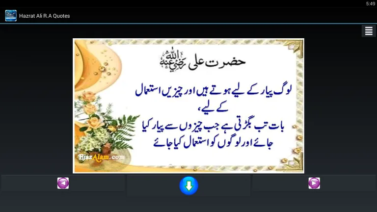 Hazrat Ali (RA) Quotes / Aqwal screenshot 3