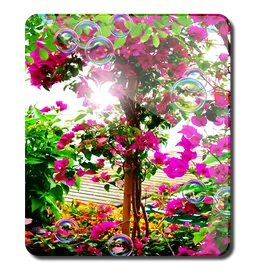 Flower Gardens 3D Butterfly screenshot 4