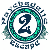 Psychedelic Escape 2: Play with Neons icon