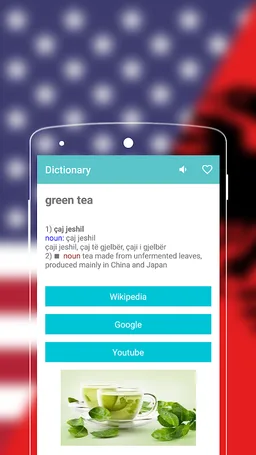 English to Albanian Dictionary screenshot 3