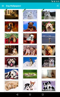 Dog Wallpapers! screenshot 6