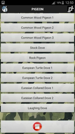 Bird Sound Free screenshot 4