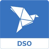 bKash DSO icon
