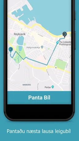 Drivers Iceland screenshot 1