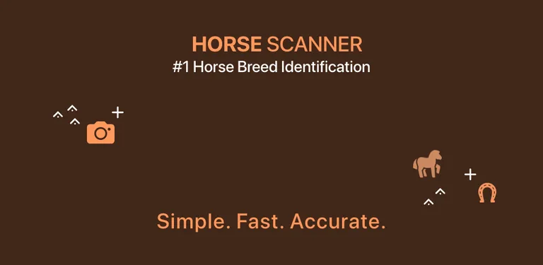 Horse Scanner cover image