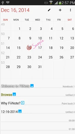 FiiWrite screenshot 7