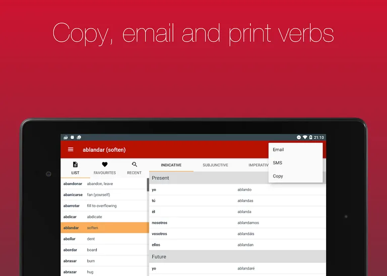 Spanish Verb Conjugator screenshot 10