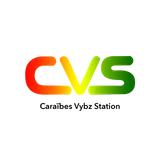 c.v.s icon
