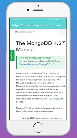 MongoDB screenshot 1