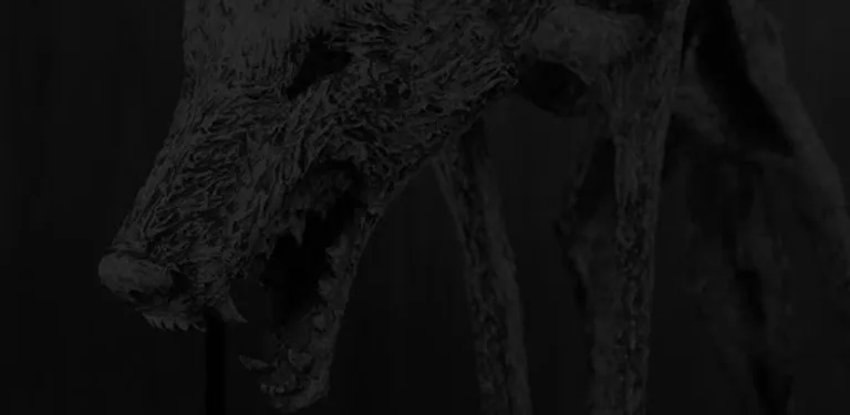 Alpha Wallet by Ard cover image