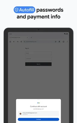 Google Chrome screenshot 18