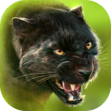 Panther Online icon
