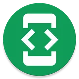 Developer options icon