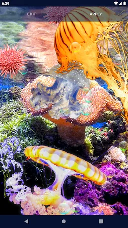 Jellyfish Live Wallpaper screenshot 2