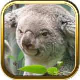 Free Australia Puzzle Games icon