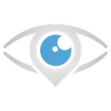 Ocular icon