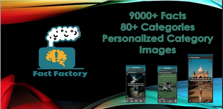 Fact Factory cover image