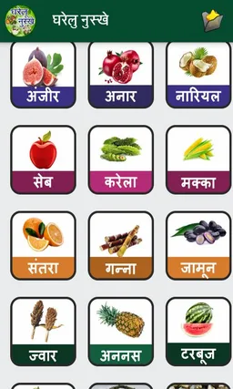 Gharelu Nuskhe in Hindi screenshot 6