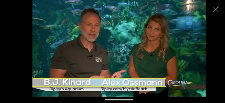 WFXB FOX screenshot 4