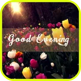 Good Evening Cards icon