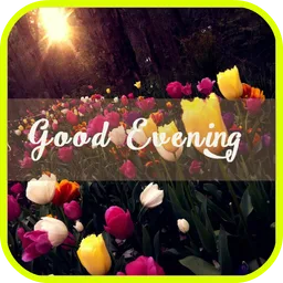 Good Evening Cards icon