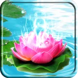 Lotus Live Wallpaper icon