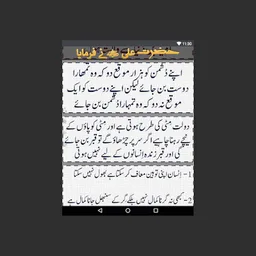 Aqwal e Hazrat Ali RA screenshot 8