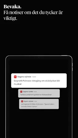Dagens Nyheter screenshot 8