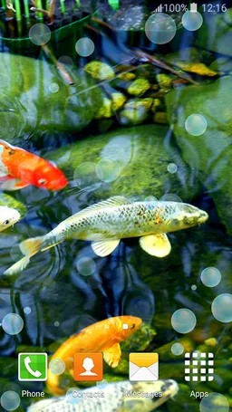 Japan Beauty Live Wallpapers screenshot 2