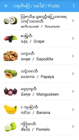 Picture Dictionary MY-TH-EN screenshot 2