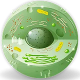 Dictionary of Biology icon