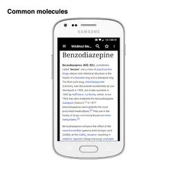 Mini Medical Wikipedia Offline screenshot 2
