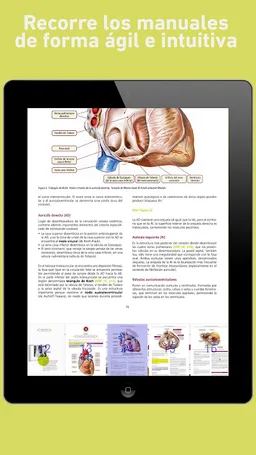 Manuales AMIR 2.0 screenshot 8