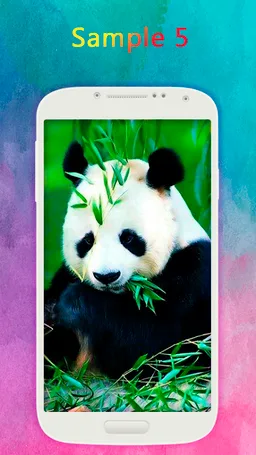 Panda Wallpaper screenshot 5