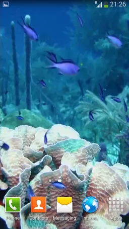 Sea Life Video Wallpapers screenshot 2