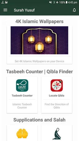 Surah Yusuf 16 Lines Colored T screenshot 6