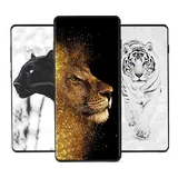 Wild Animals Wallpapers- Wild Animal Image HD & 4K icon